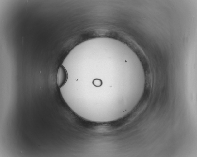 X0000101480505200807281042