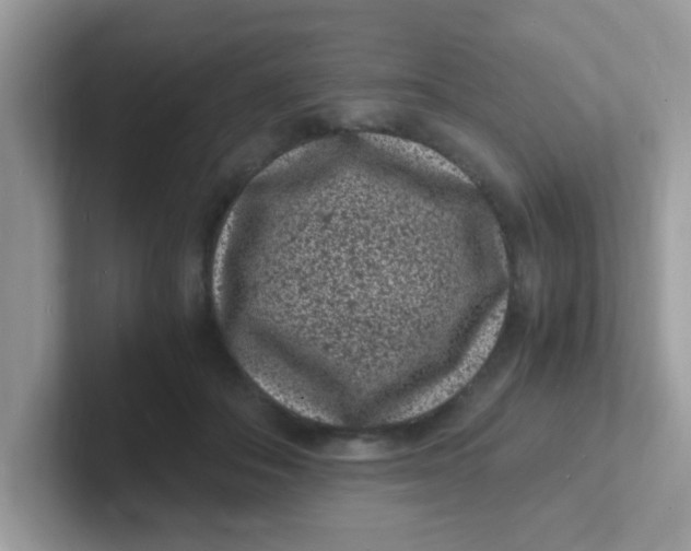 X0000101480506200807281042