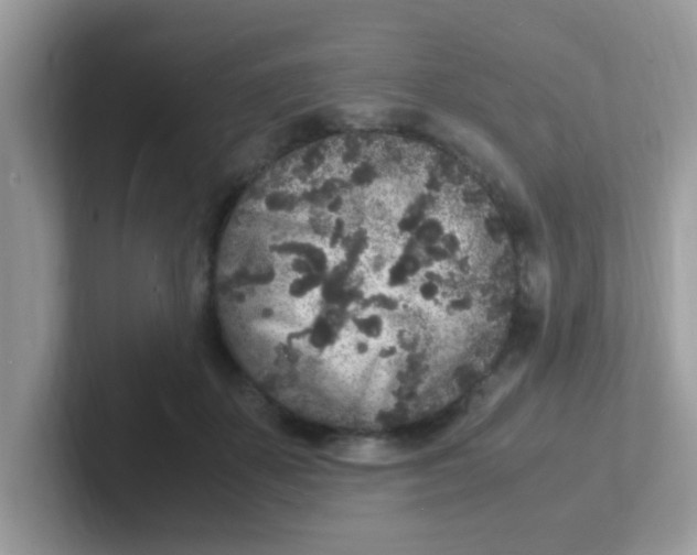 X0000101480507200807281042