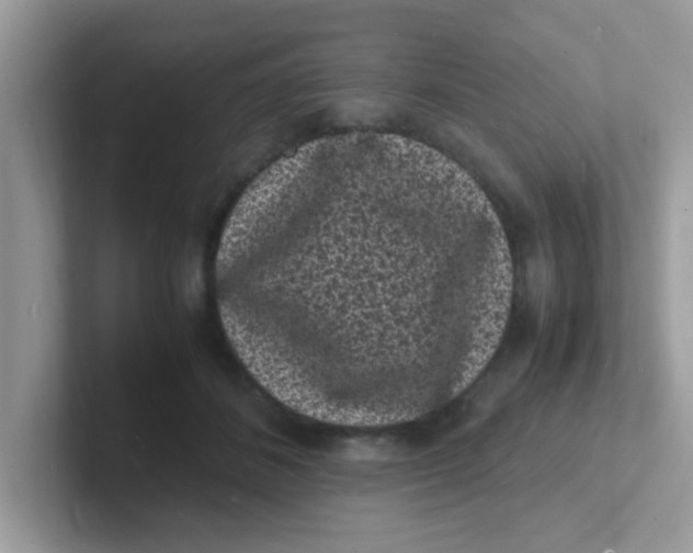 X0000101480508200807281042