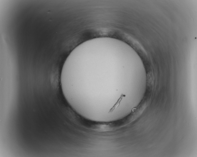 X0000101480509200807281042