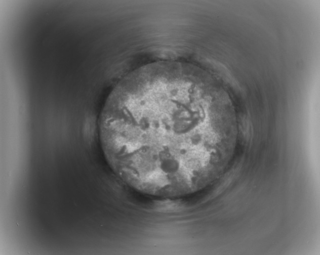 X0000101480511200807281042