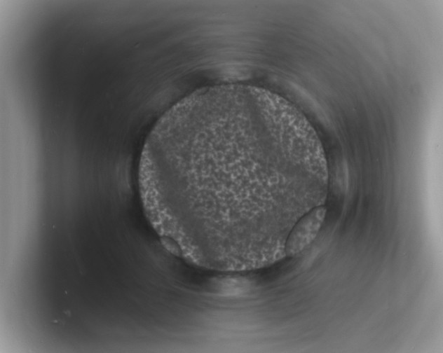 X0000101480512200807281042