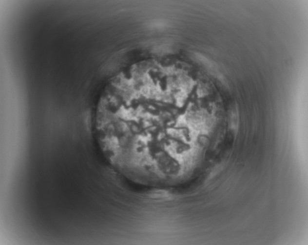 X0000101480519200807281042