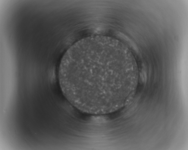 X0000101480520200807281042