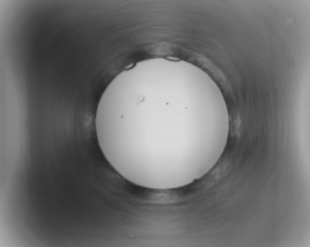 X0000101480521200807281042