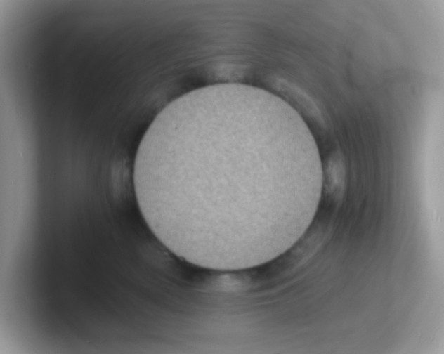 X0000101480522200807281042