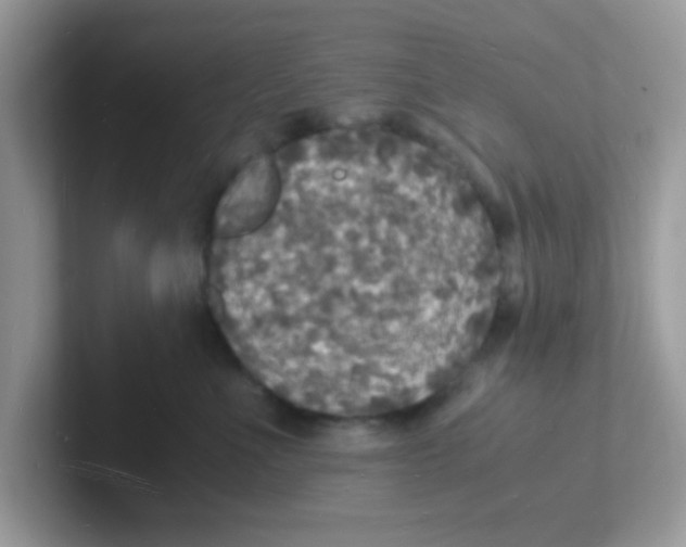 X0000101480523200807281042