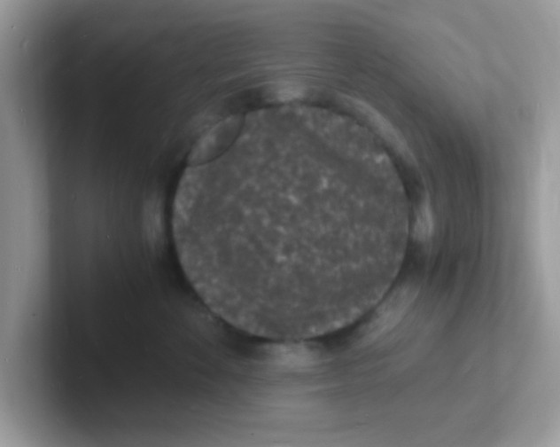 X0000101480524200807281042