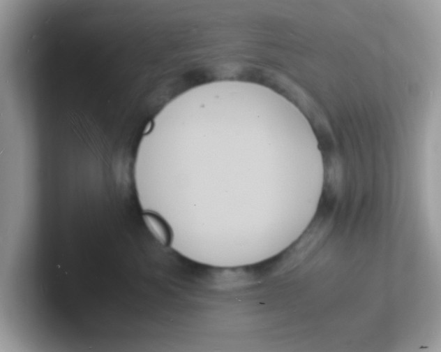 X0000101480525200807281042