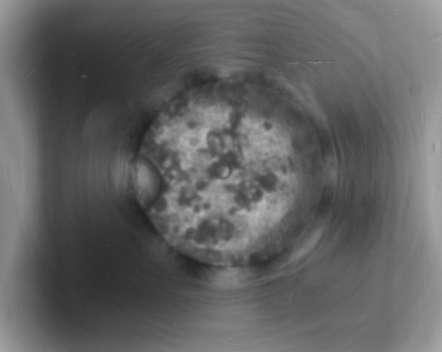 X0000101480527200807281042