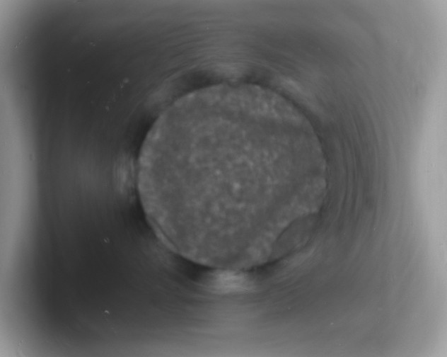 X0000101480528200807281042