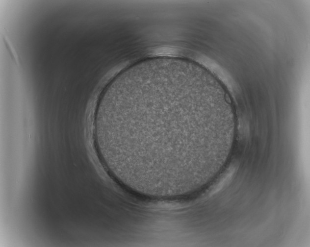 X0000101480529200807281041