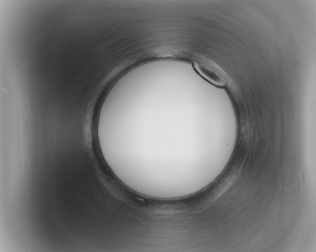 X0000101480530200807281041