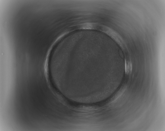 X0000101480531200807281041