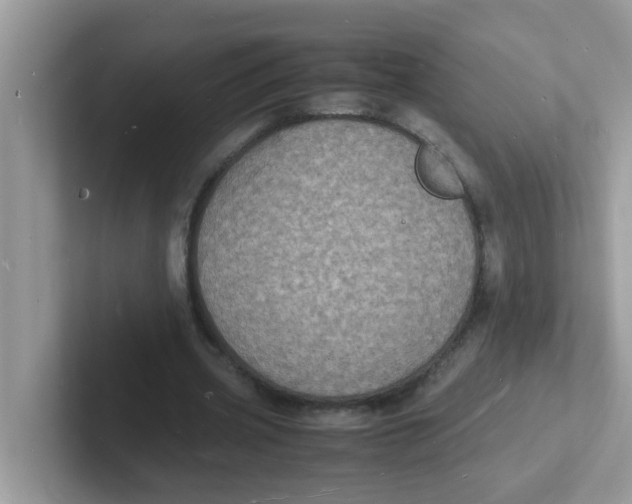 X0000101480533200807281041