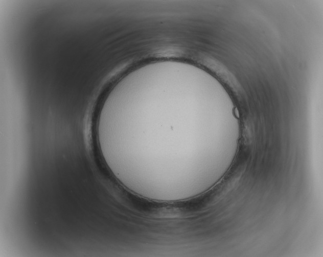 X0000101480535200807281041