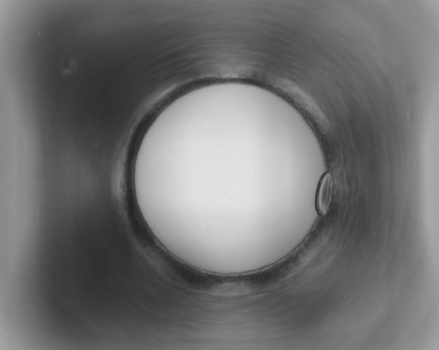 X0000101480536200807281041