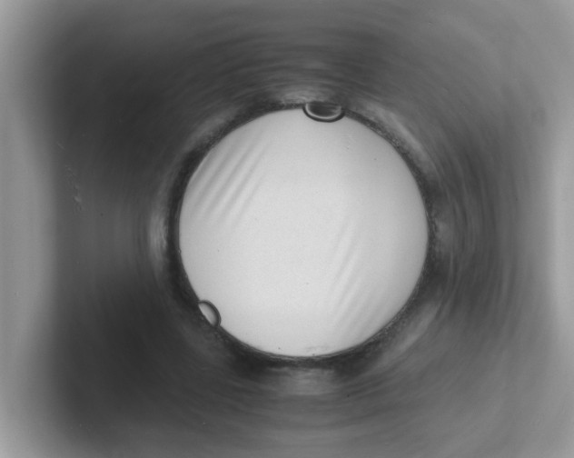 X0000101480539200807281041