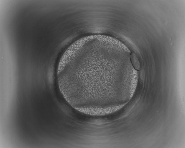 X0000101480540200807281041