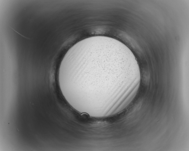 X0000101480543200807281041