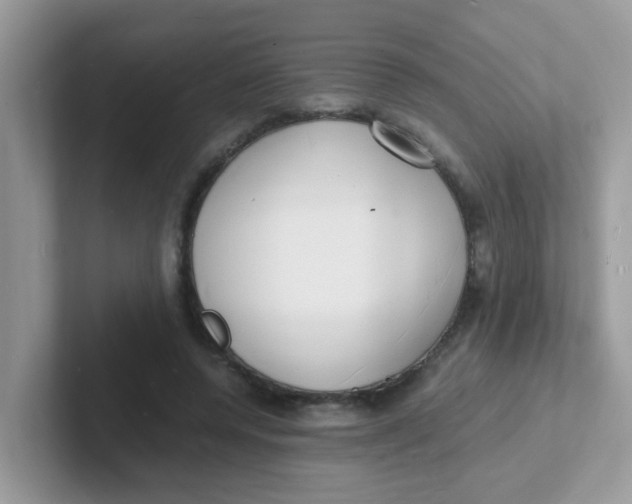 X0000101480544200807281041