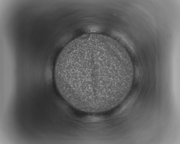 X0000101480545200807281041