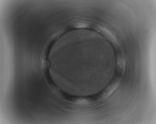 X0000101480547200807281041