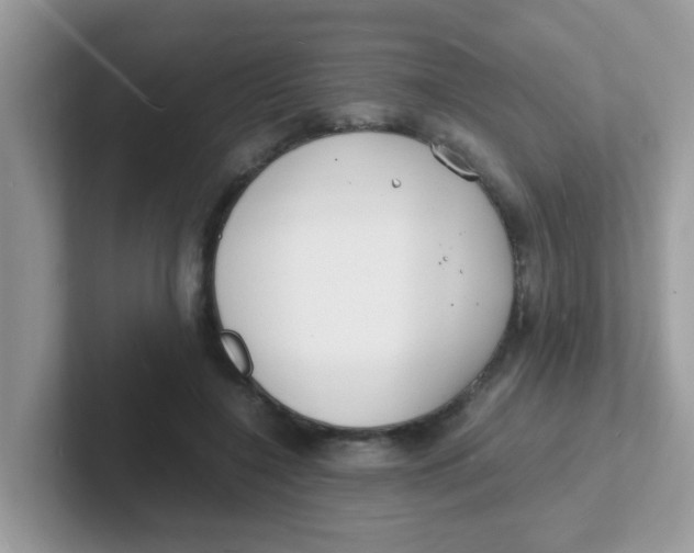 X0000101480548200807281041