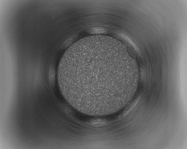 X0000101480549200807281041