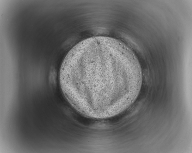 X0000101480550200807281041