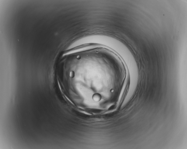 X0000101480552200807281041