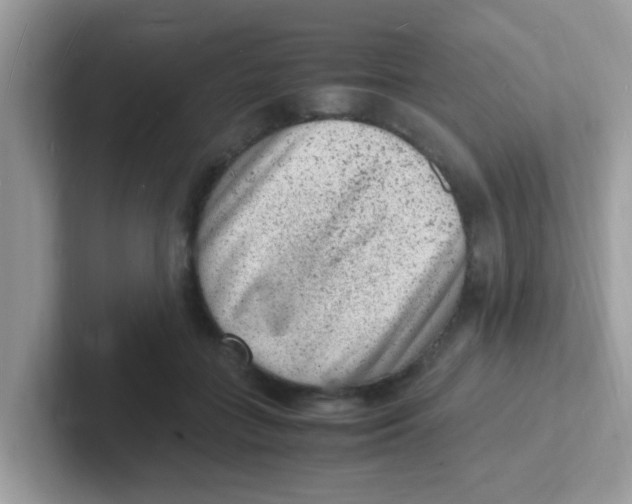 X0000101480555200807281041