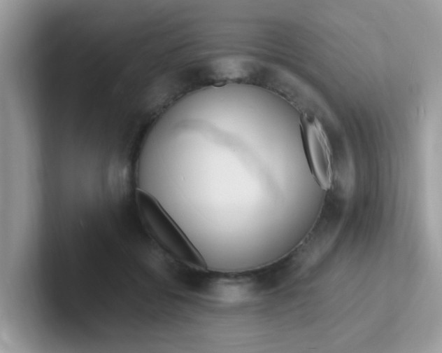 X0000101480556200807281041