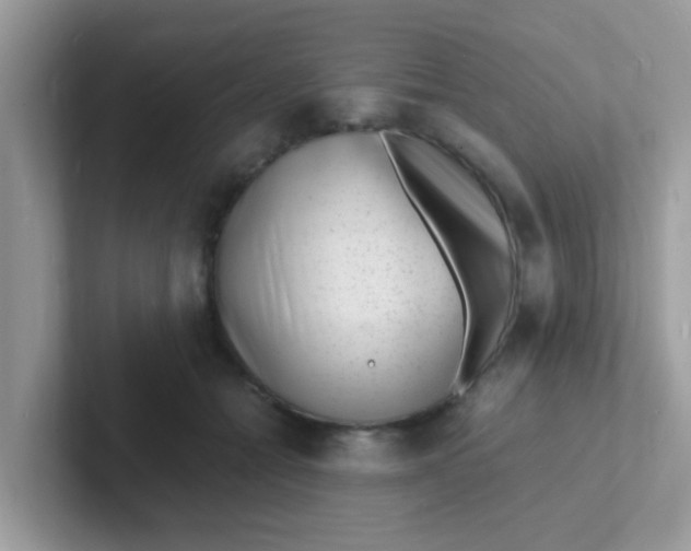 X0000101480558200807281042