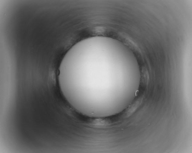 X0000101480562200807281042