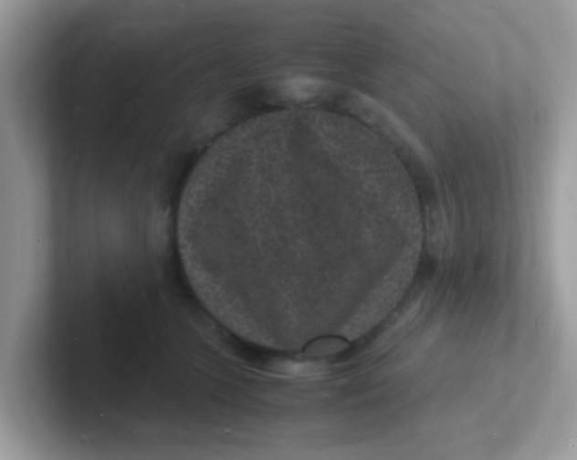 X0000101480563200807281042