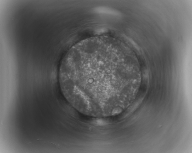 X0000101480565200807281042