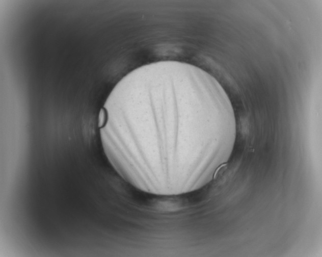 X0000101480567200807281042