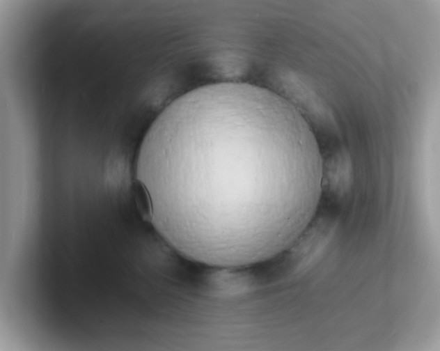 X0000101480568200807281042