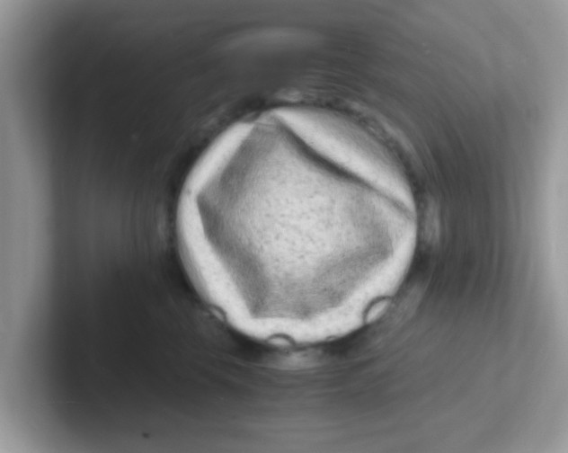 X0000101480569200807281042