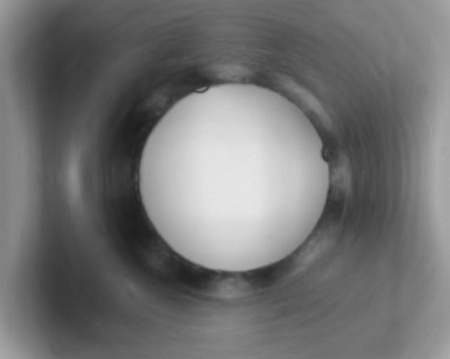 X0000101480572200807281042