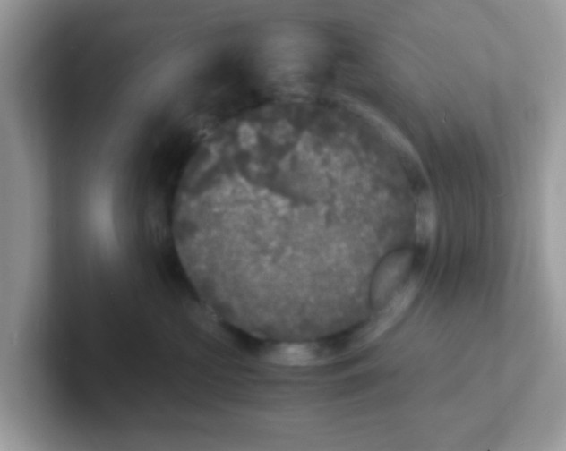 X0000101480573200807281042