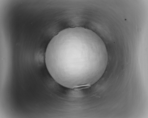 X0000101480576200807281042