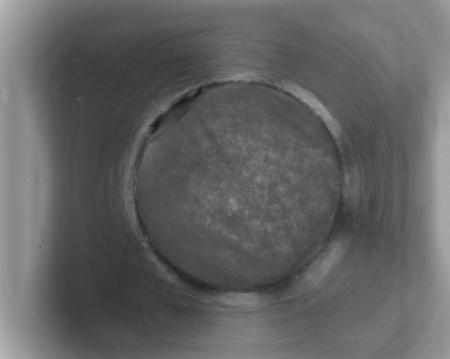 X0000101480577200807281041