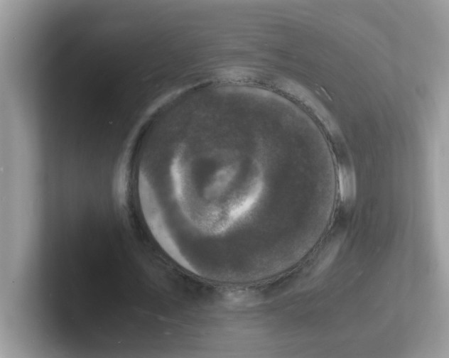 X0000101480579200807281041