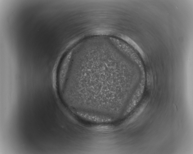 X0000101480581200807281041