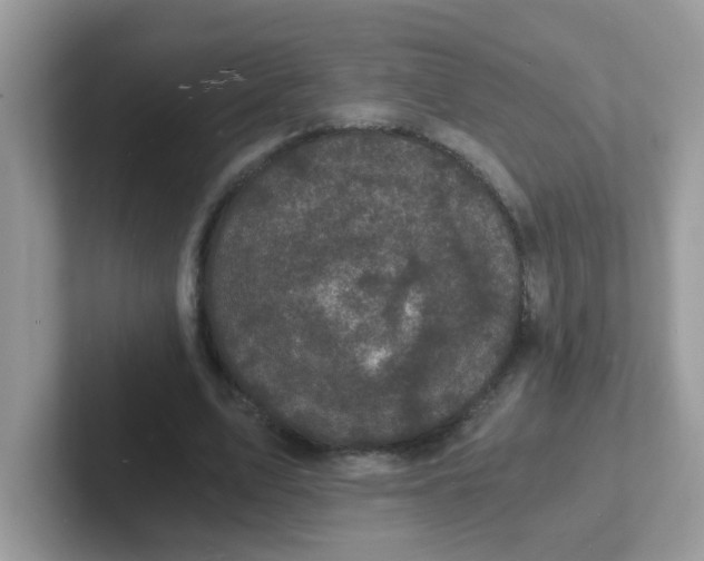 X0000101480583200807281041