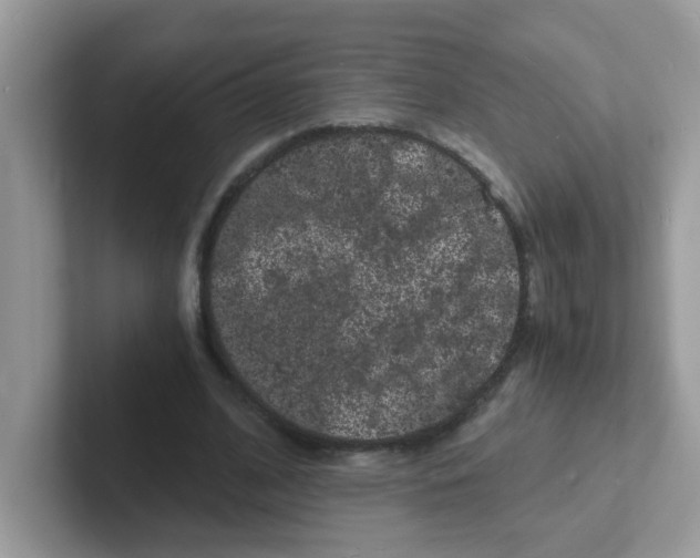 X0000101480584200807281041