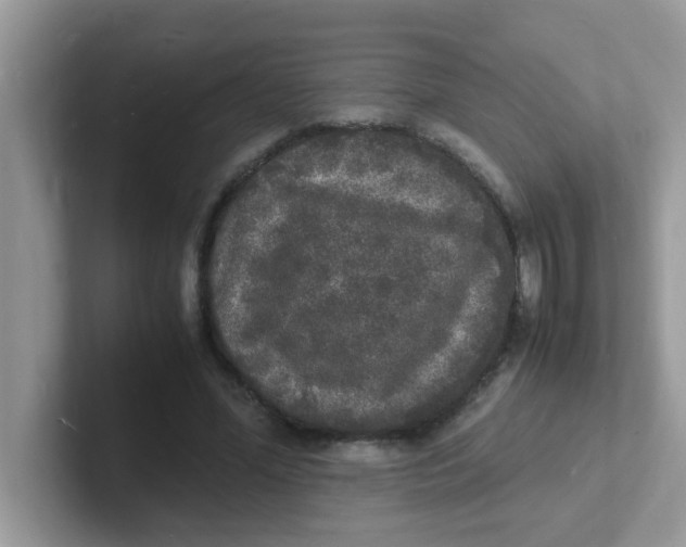 X0000101480588200807281041